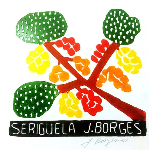 Xilogravura P - Seriguela - de J. Borges