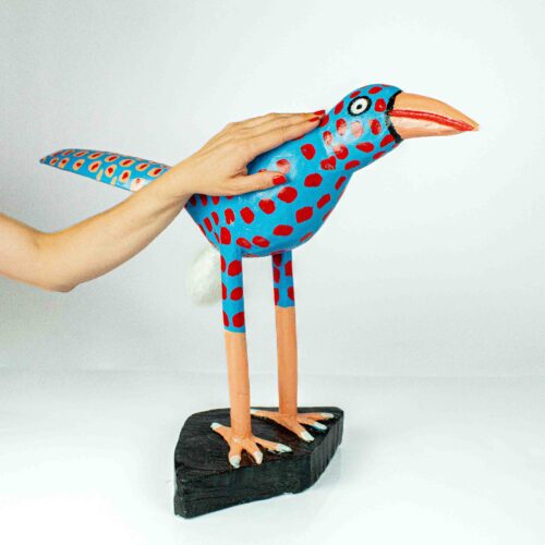 Ave botando ovo de Francisco Graciano