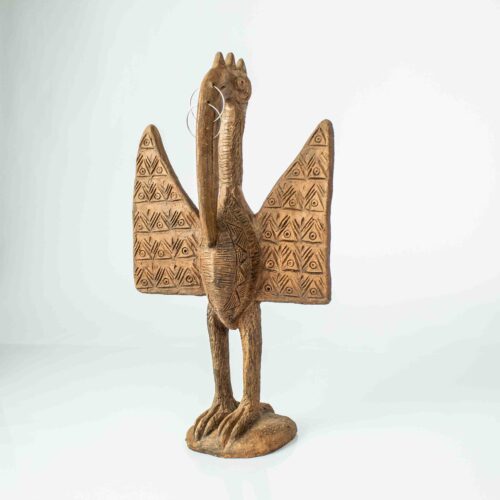 Pássaro ibis de Val Andrade