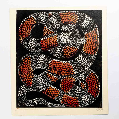Linogravura Cobra coral de junGlas