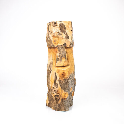 Cabeça totem de Zé Bezerra